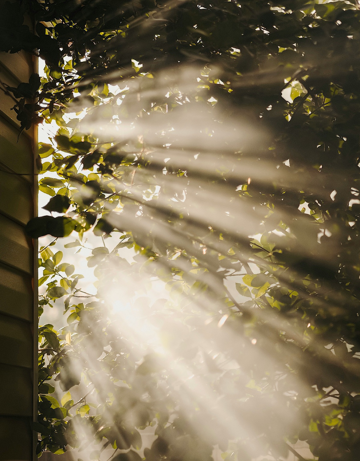 AI-Powered Photo Editing Apps Are Changing Everyday Photography